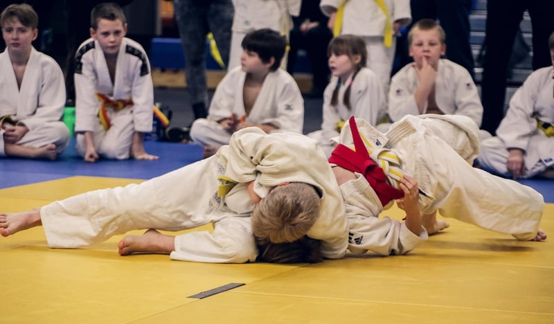Judo Martial Arts